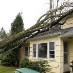 Restauración de daños causados por la tormenta